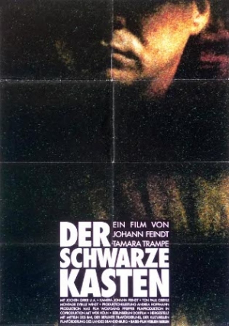 Poster of Der schwarze Kasten