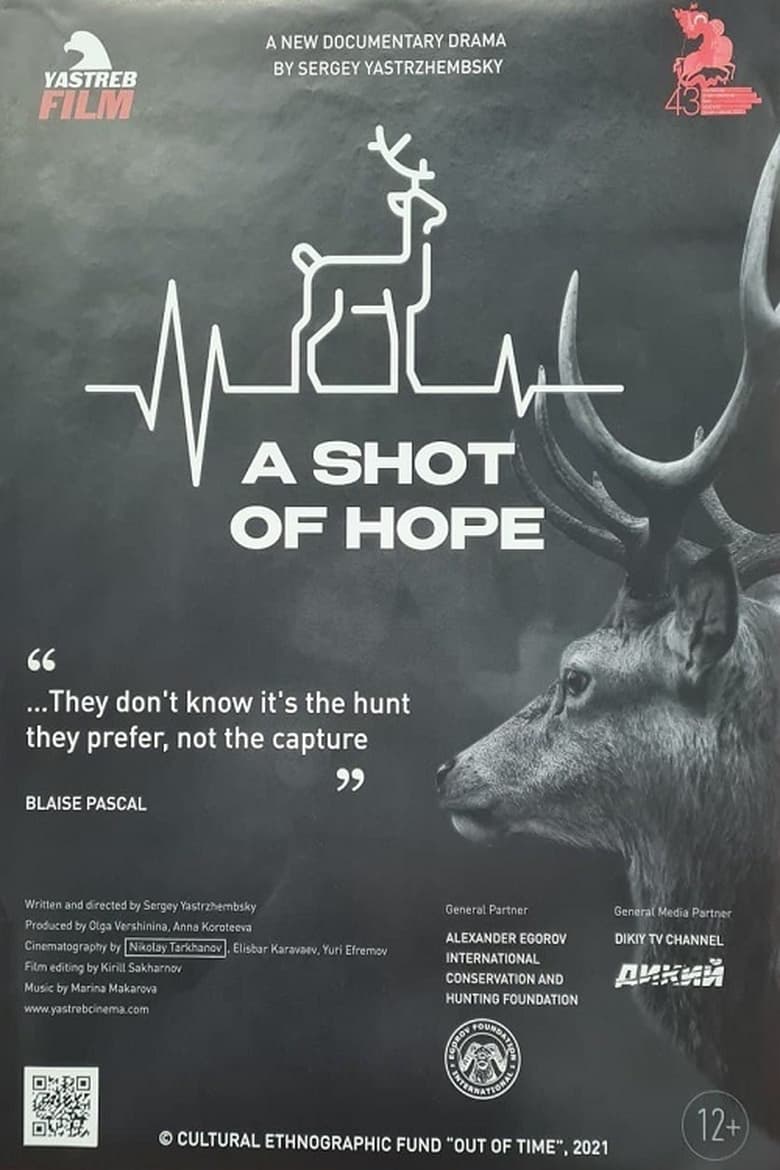 Poster of A Shot of Hope