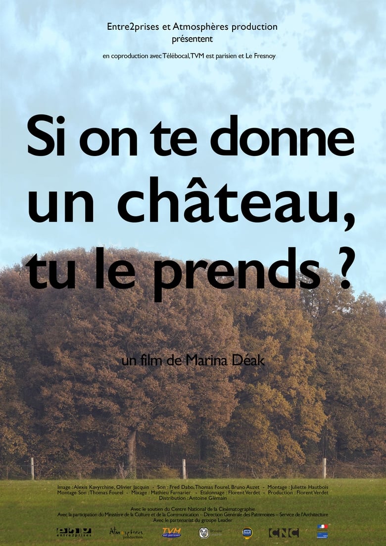 Poster of Si on te donne un château, tu le prends?