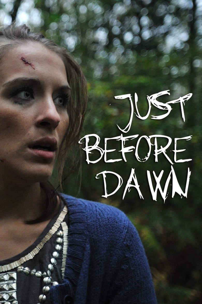 Poster of Just Before Dawn