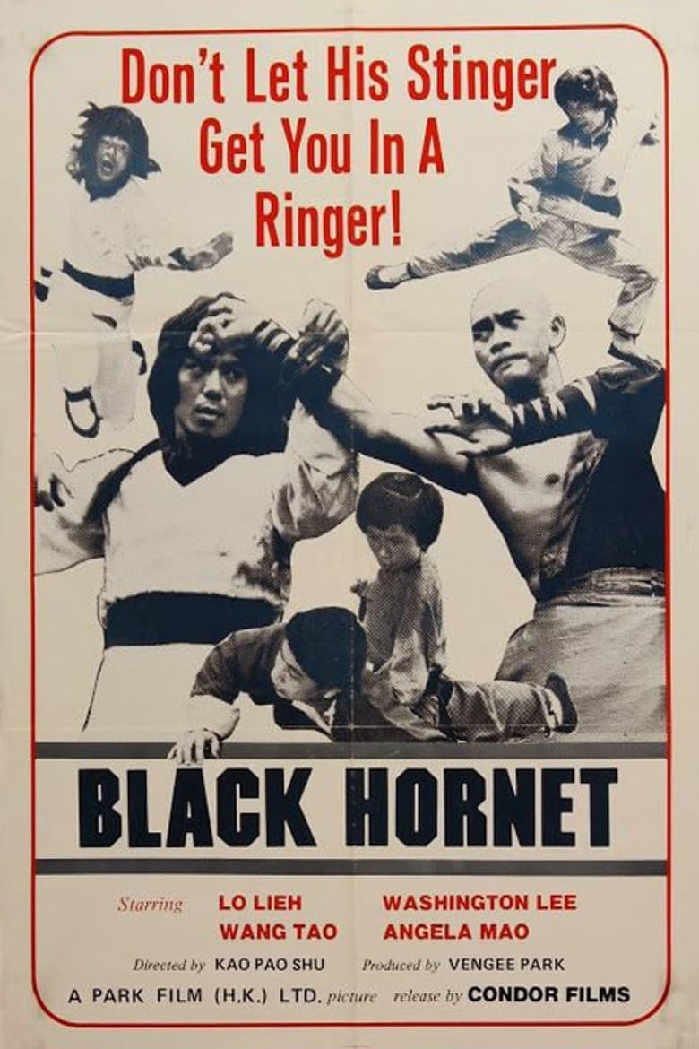 Poster of Black Hornet