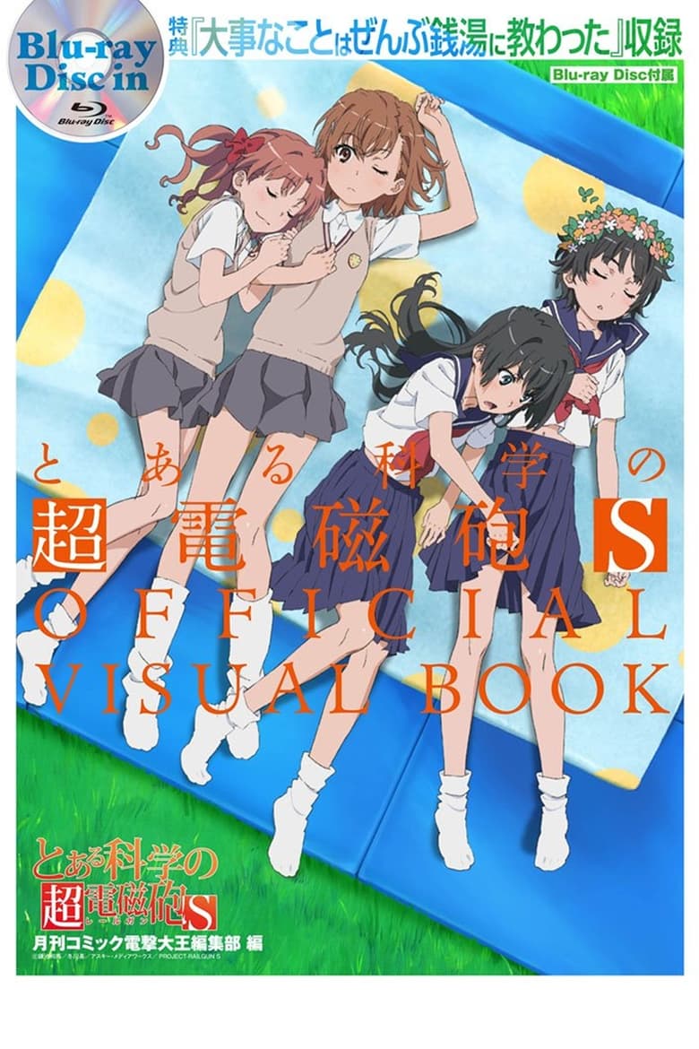 Poster of A Certain Scientific Railgun S: All the Important Things I Learned in a Bathhouse