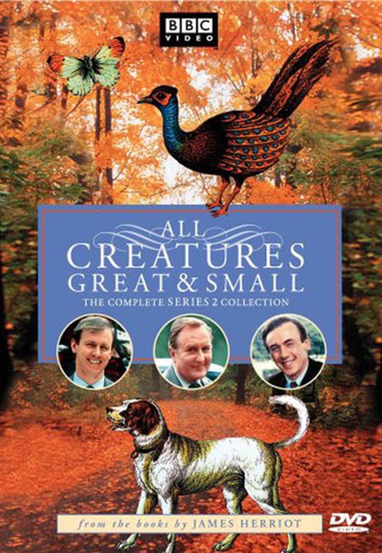 Poster of Episodes in All Creatures Great And Small - Season 2 - Season 2