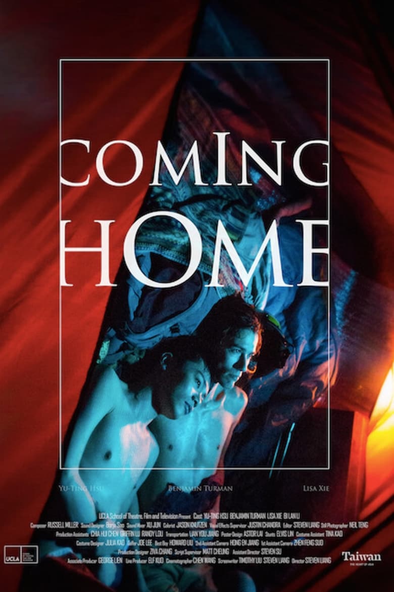 Poster of Coming Home