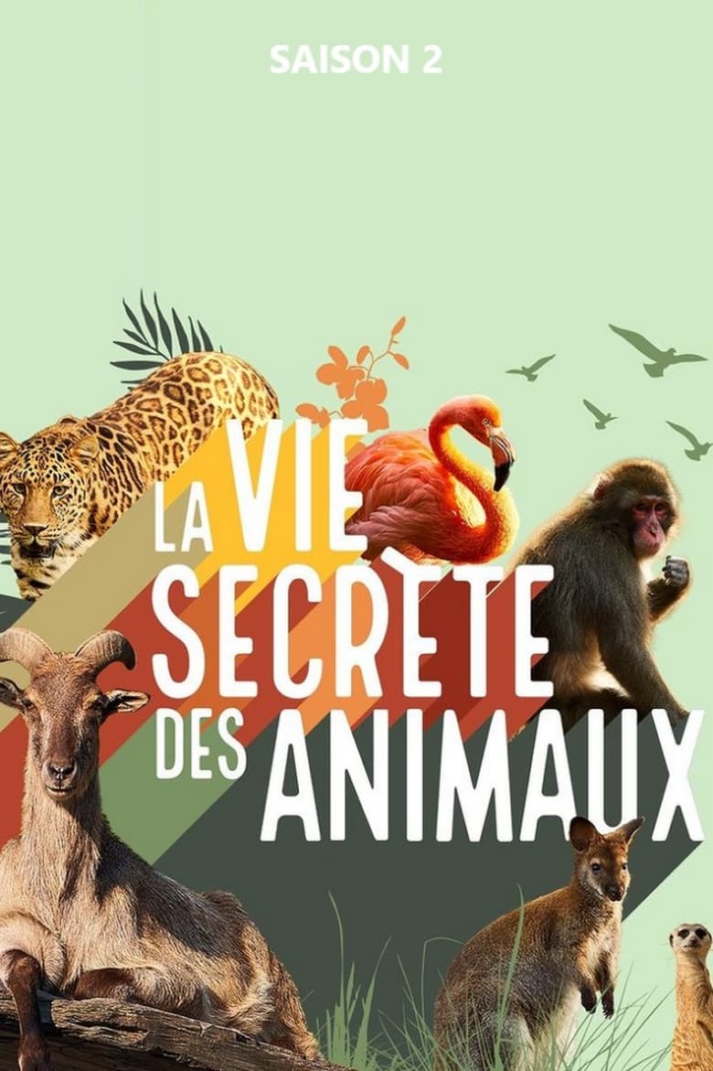 Poster of Episodes in La Vie Secrète Des Animaux - Season 2 - Season 2