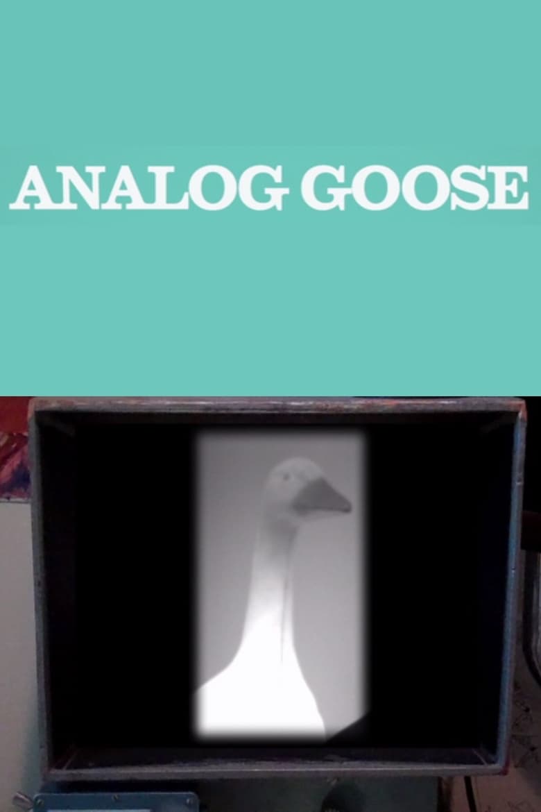 Poster of Analog Goose