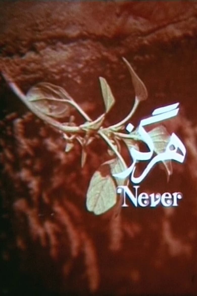 Poster of Never