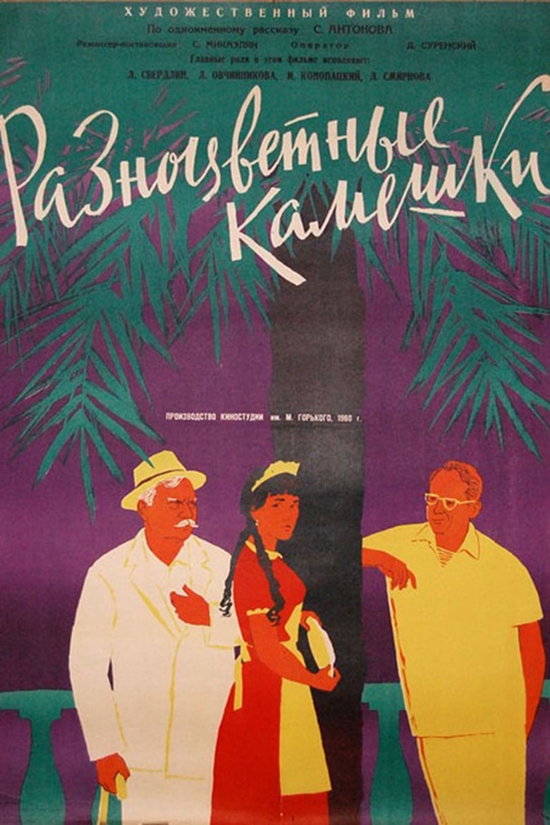 Poster of Разноцветные камешки