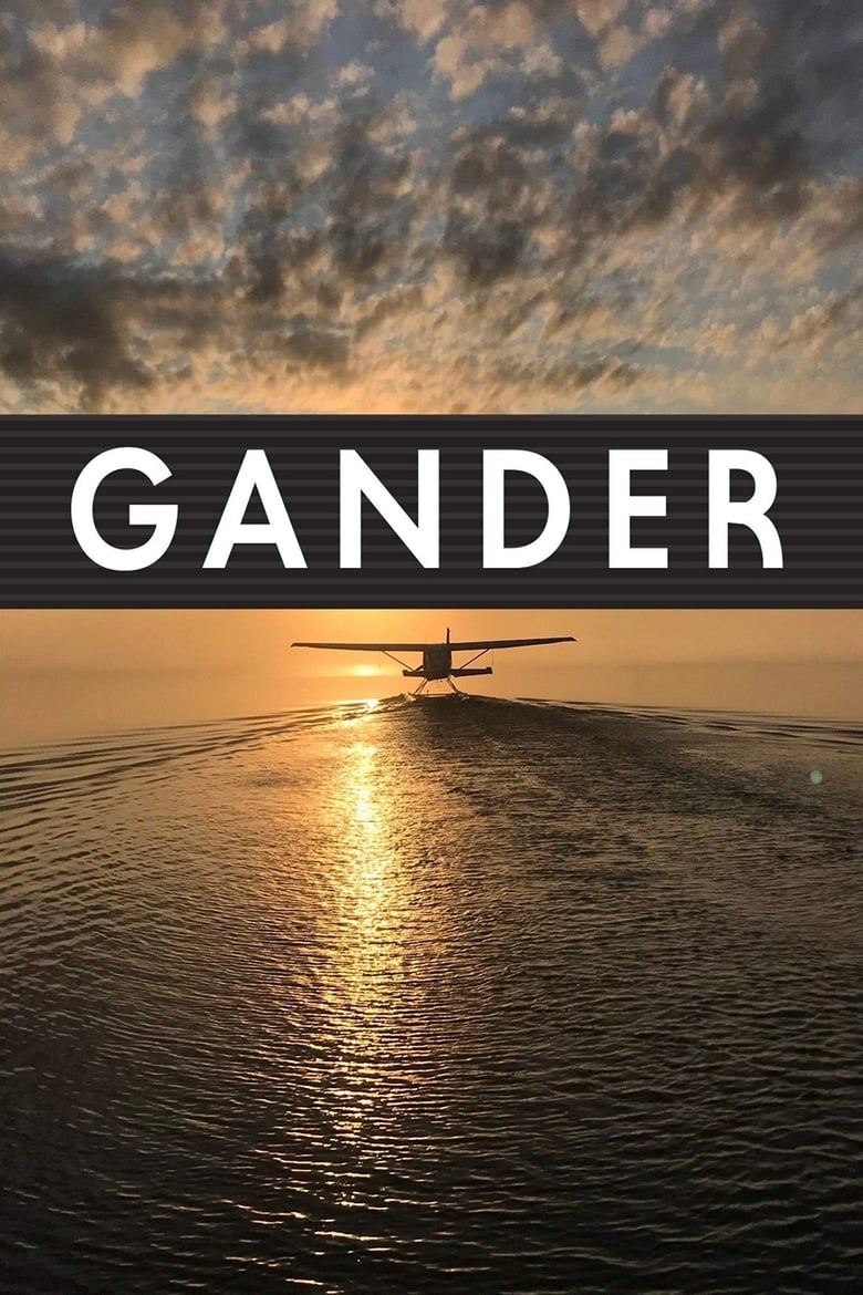 Poster of Gander International: The Airport in the Middle of Nowhere