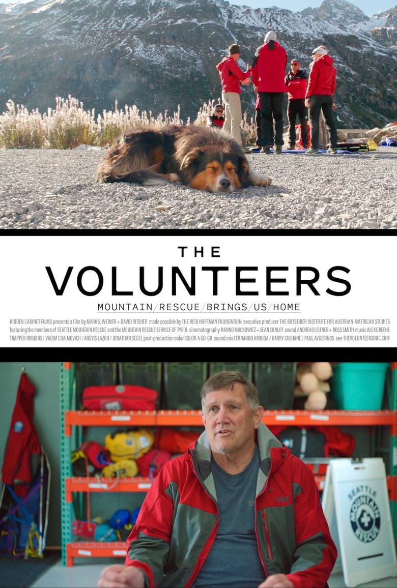 Poster of The Volunteers