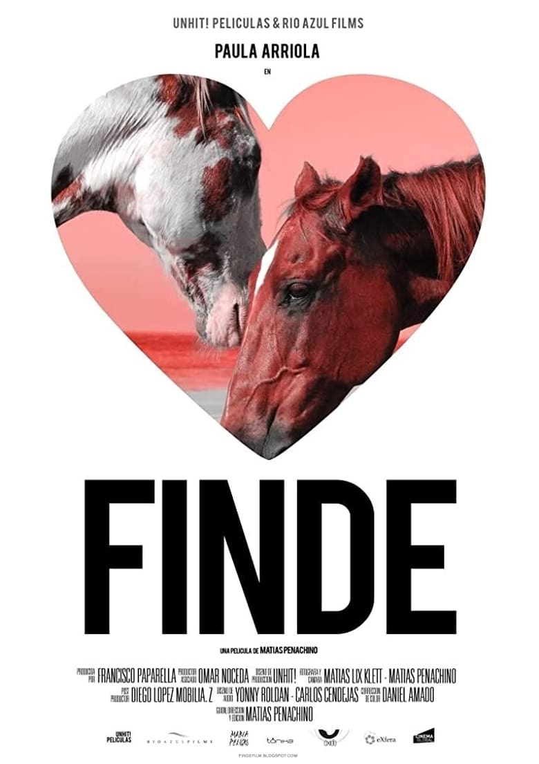 Poster of Finde