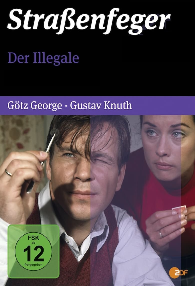 Poster of Der Illegale