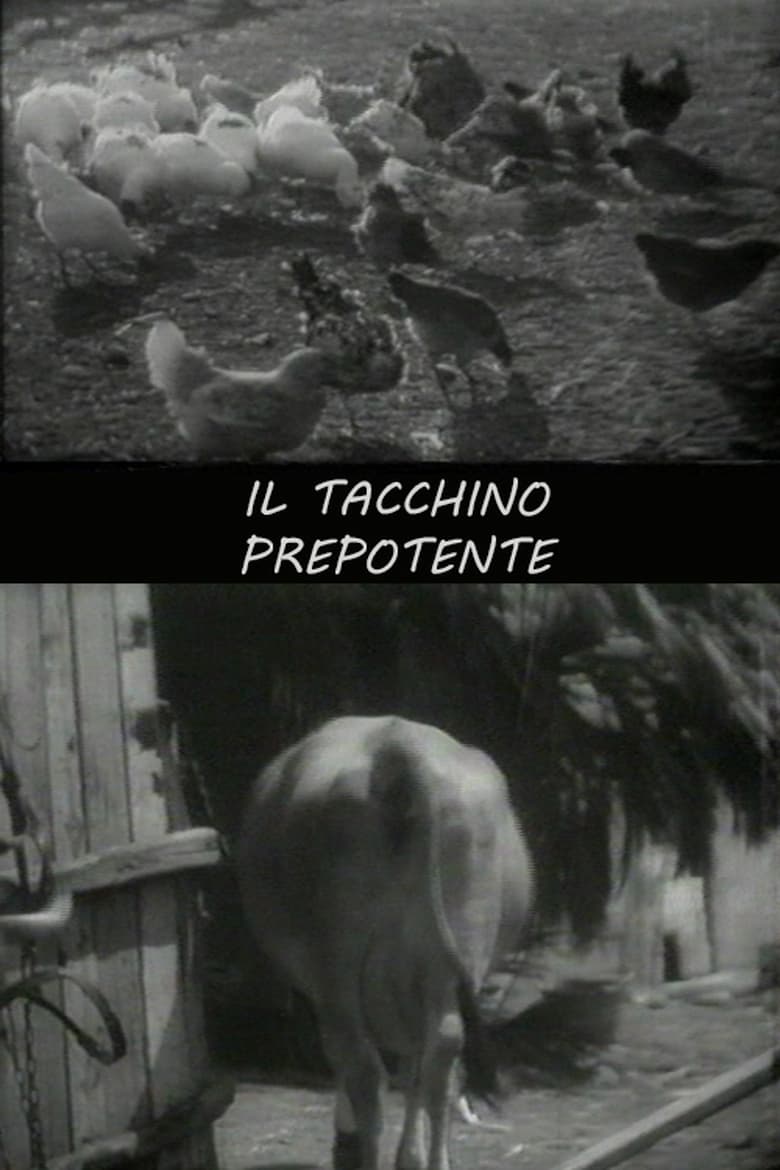 Poster of Il tacchino prepotente