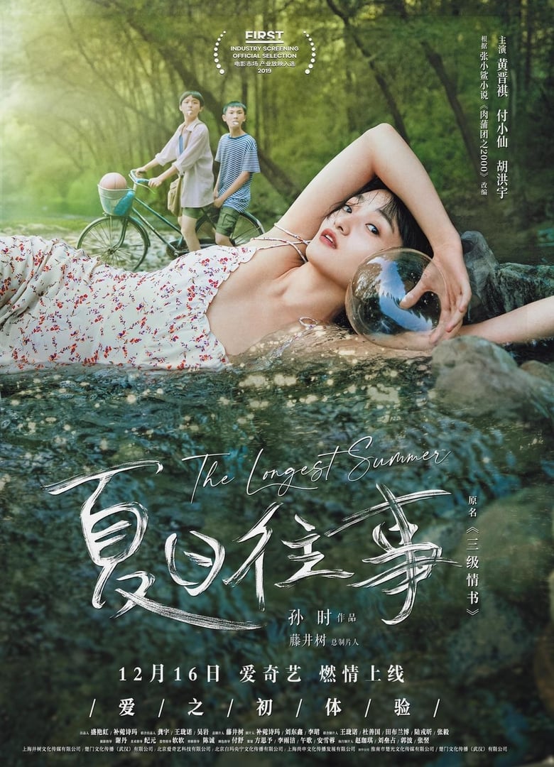 Poster of The Longest Summer