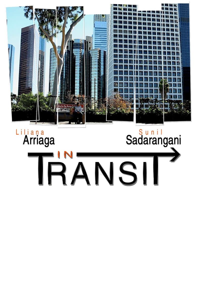 Poster of In Transit