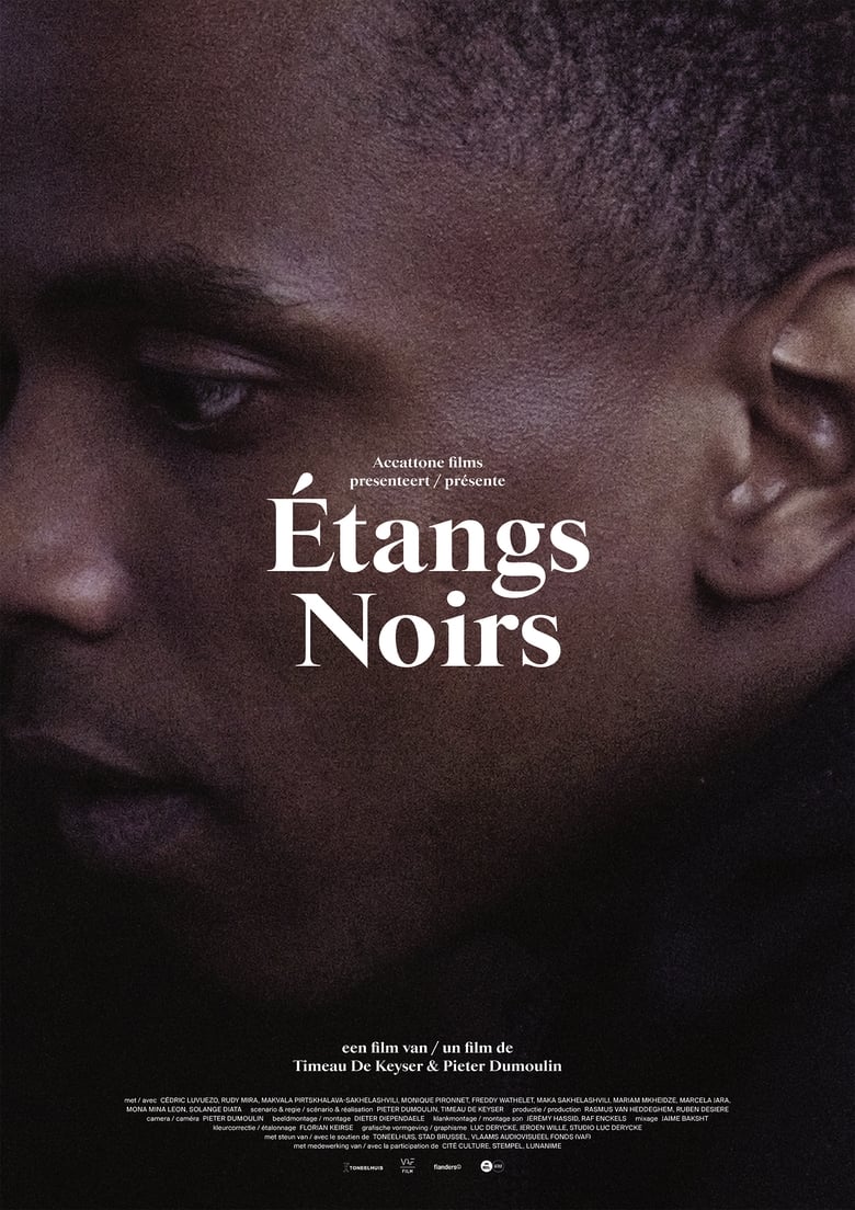 Poster of Étangs Noirs