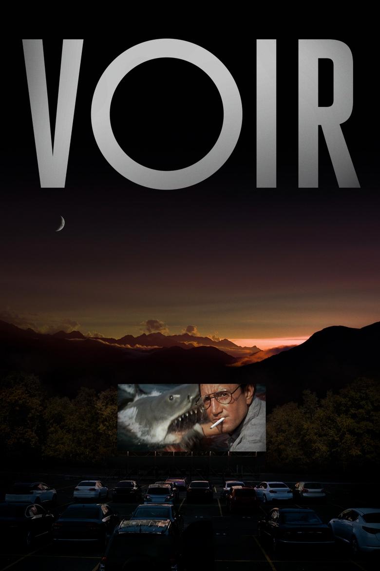 Poster of Voir