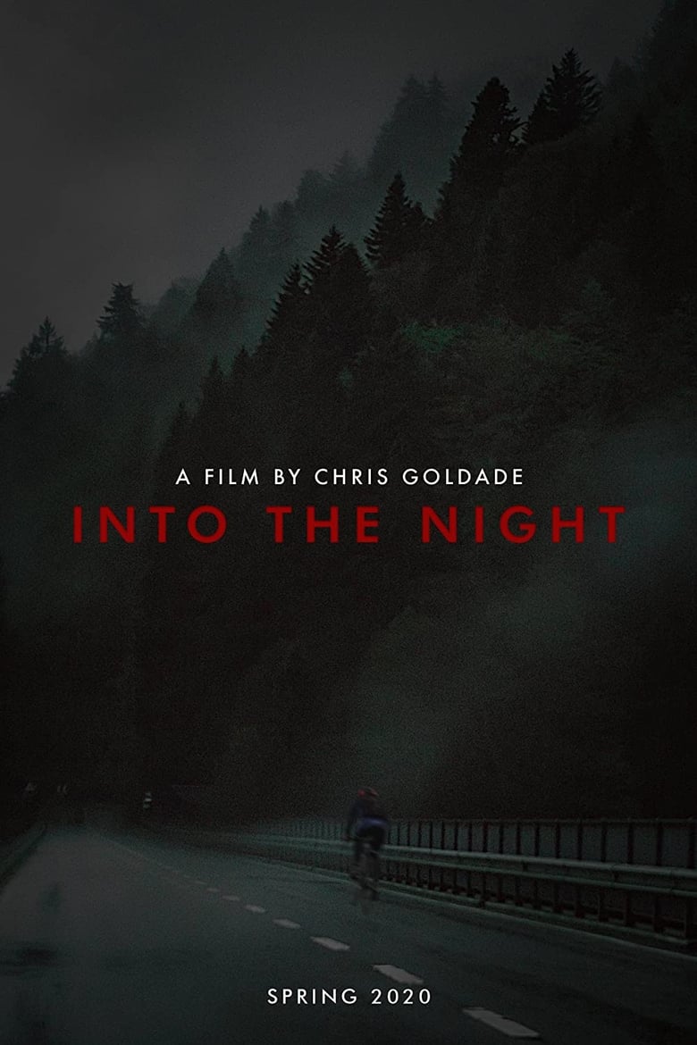 Poster of Into The Night