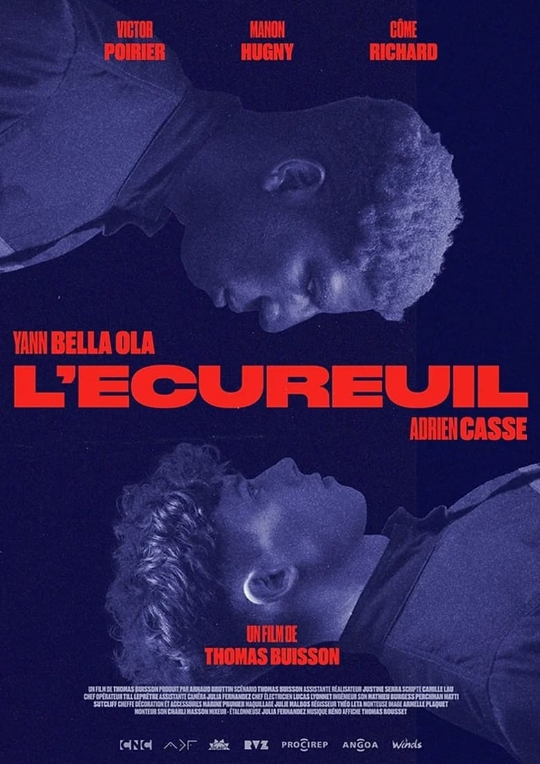 Poster of L'écureuil