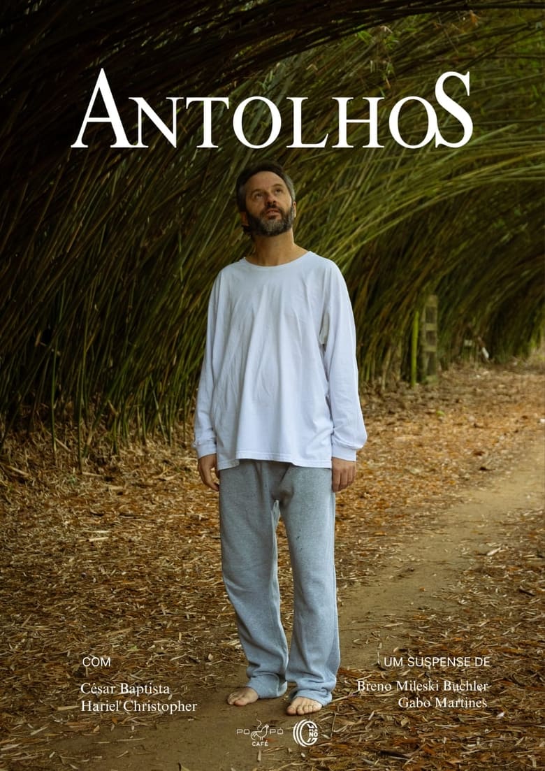 Poster of Antolhos