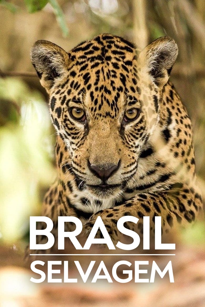 Poster of Episodes in Brazil Untamed - Biomes - Biomes