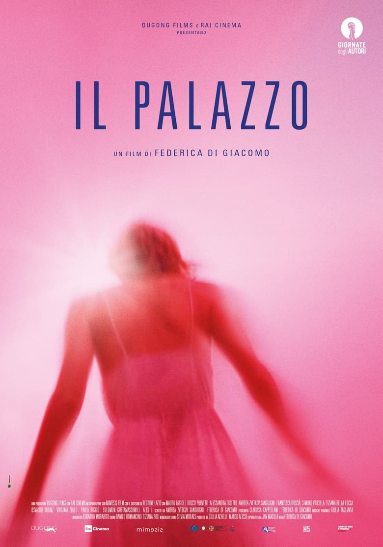 Poster of Il palazzo