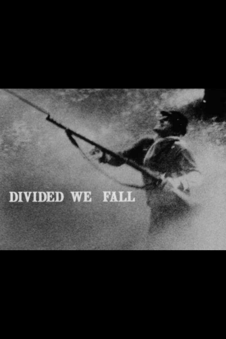 Poster of Divided We Fall