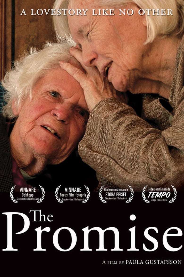 Poster of The Promise