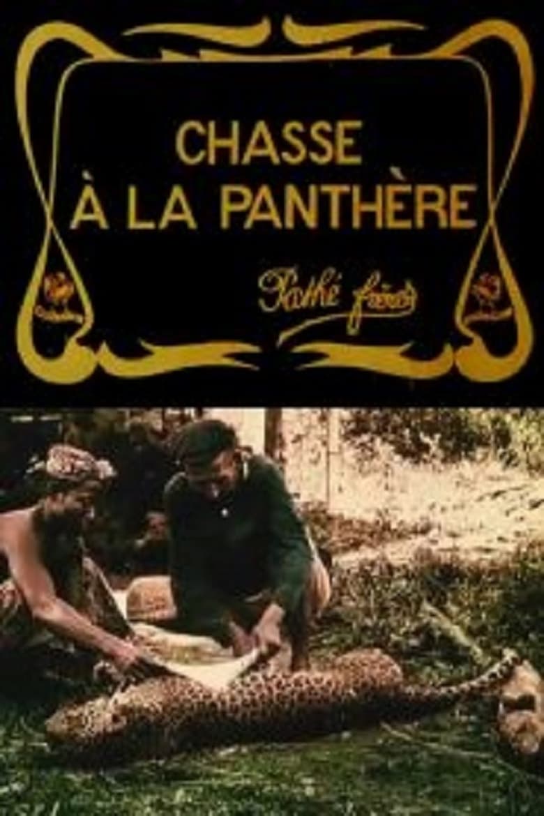 Poster of Hunting the Panther