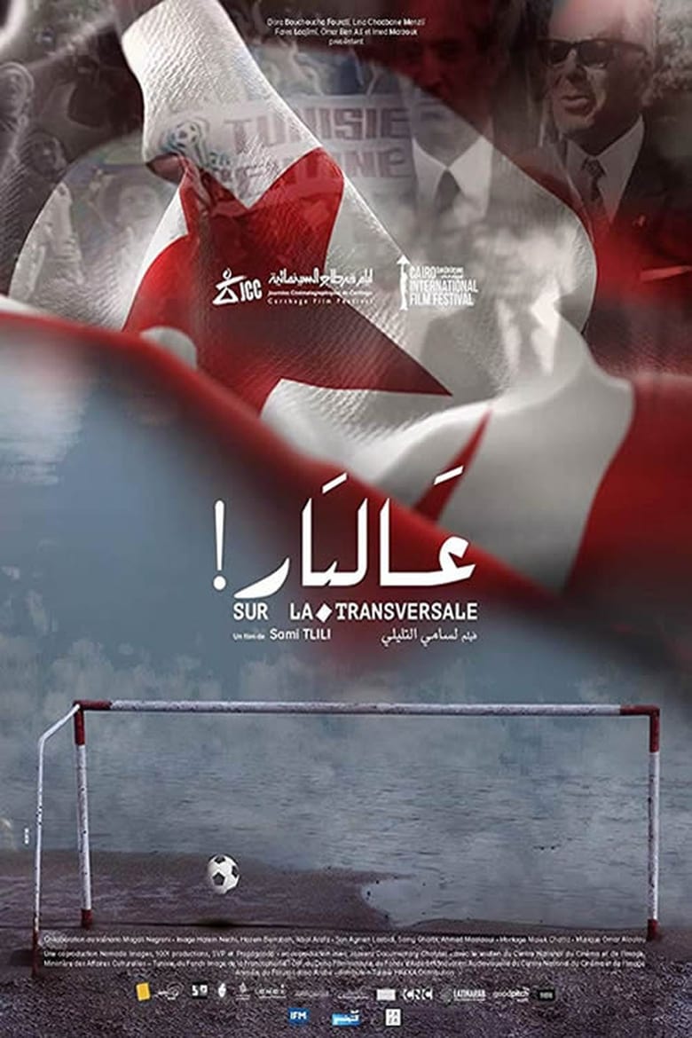 Poster of On the Crossbar