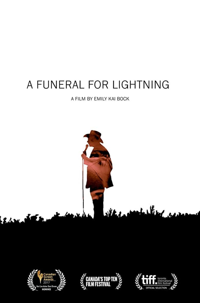 Poster of A Funeral for Lightning