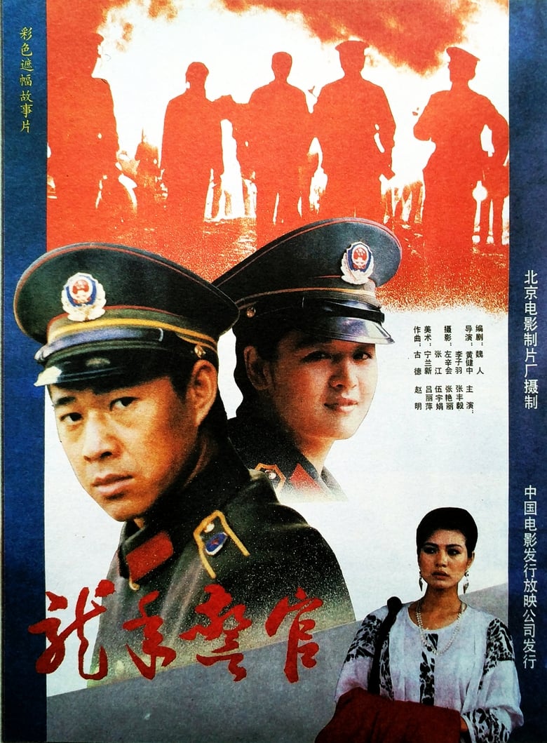 Poster of 龙年警官