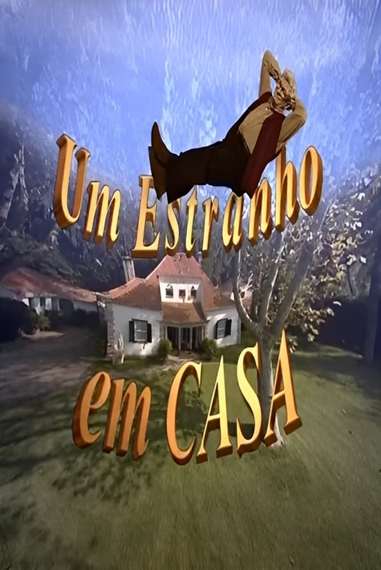 Poster of Um Estranho em Casa