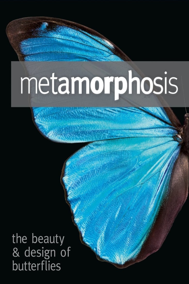 Poster of Metamorphosis: The Design and Beauty of Butterflies