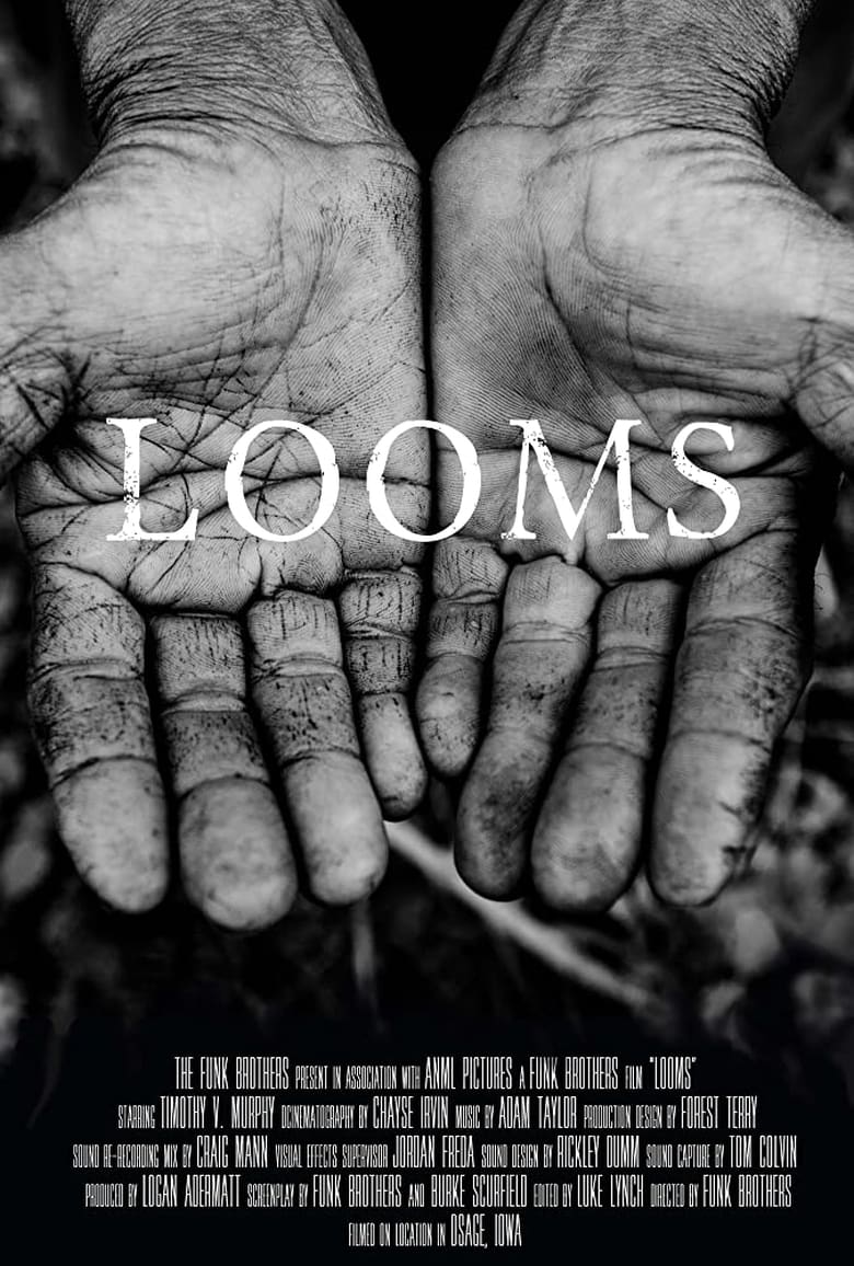 Poster of LOOMS