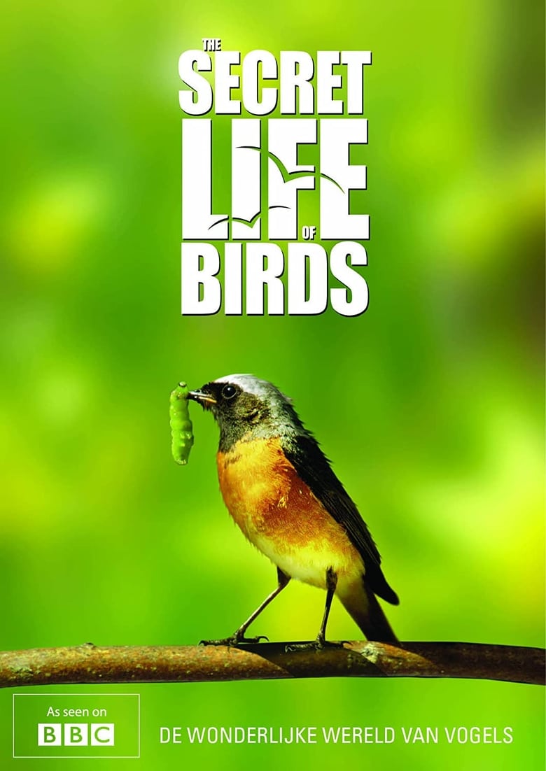 Poster of Iolo's Secret Life of Birds