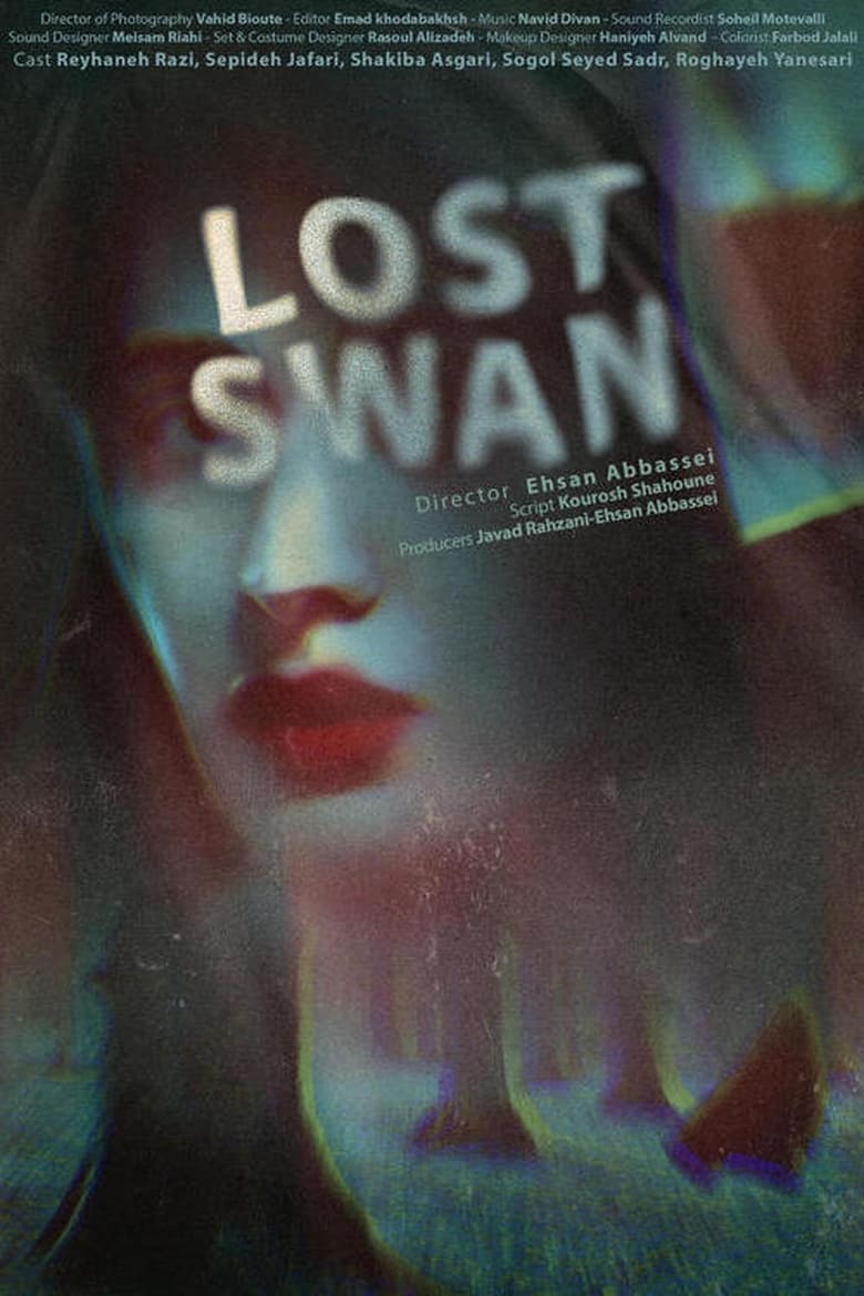 Poster of Lost Swan