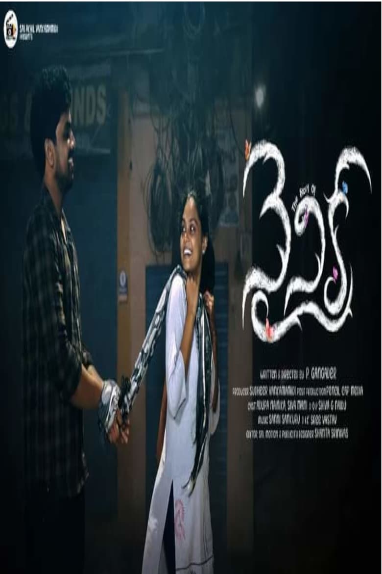 Poster of The Story of Nainika