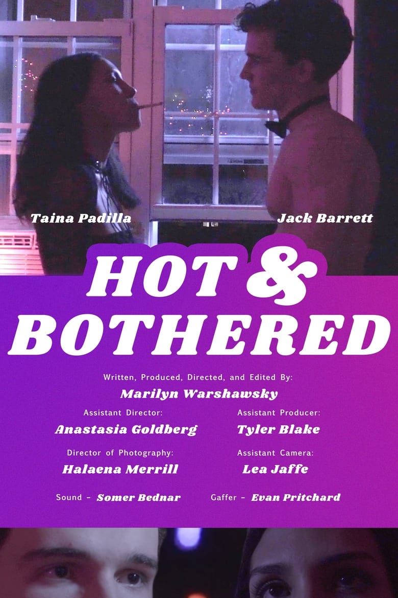 Poster of Hot & Bothered