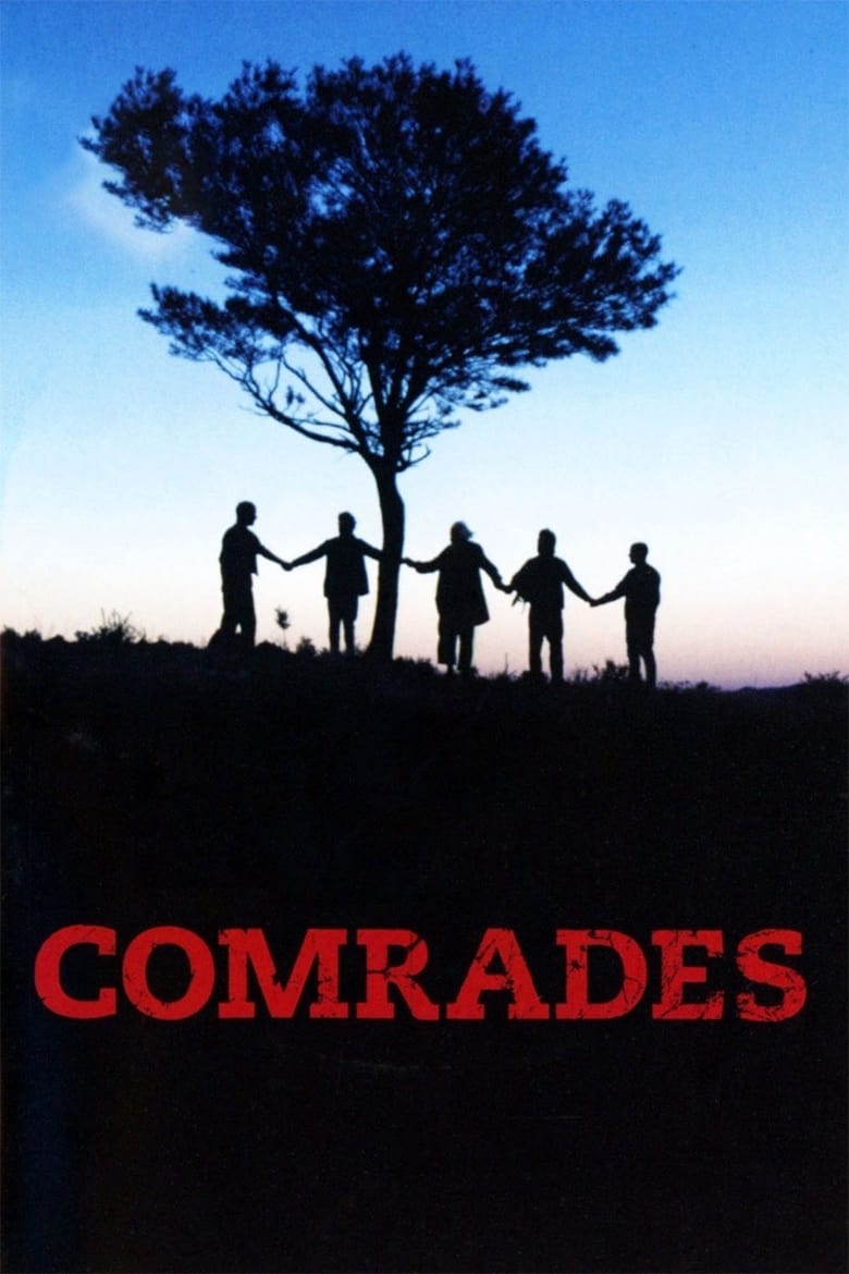 Poster of Comrades