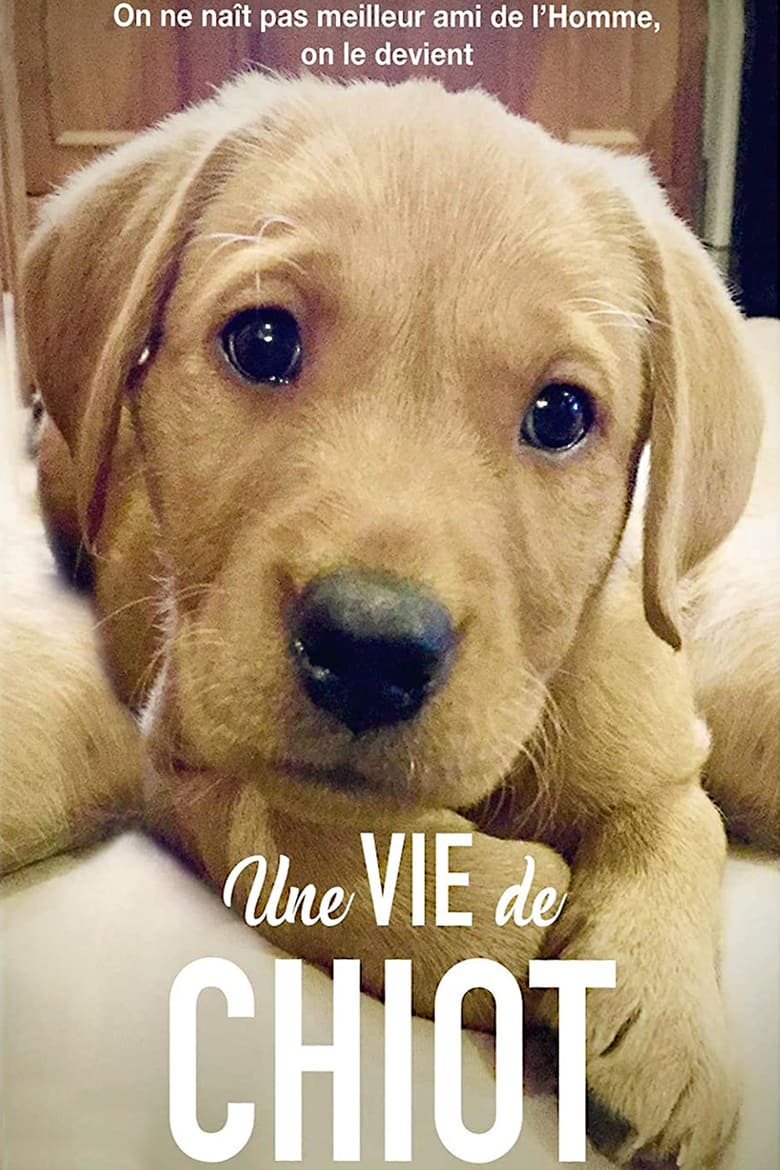 Poster of Une vie de chiot