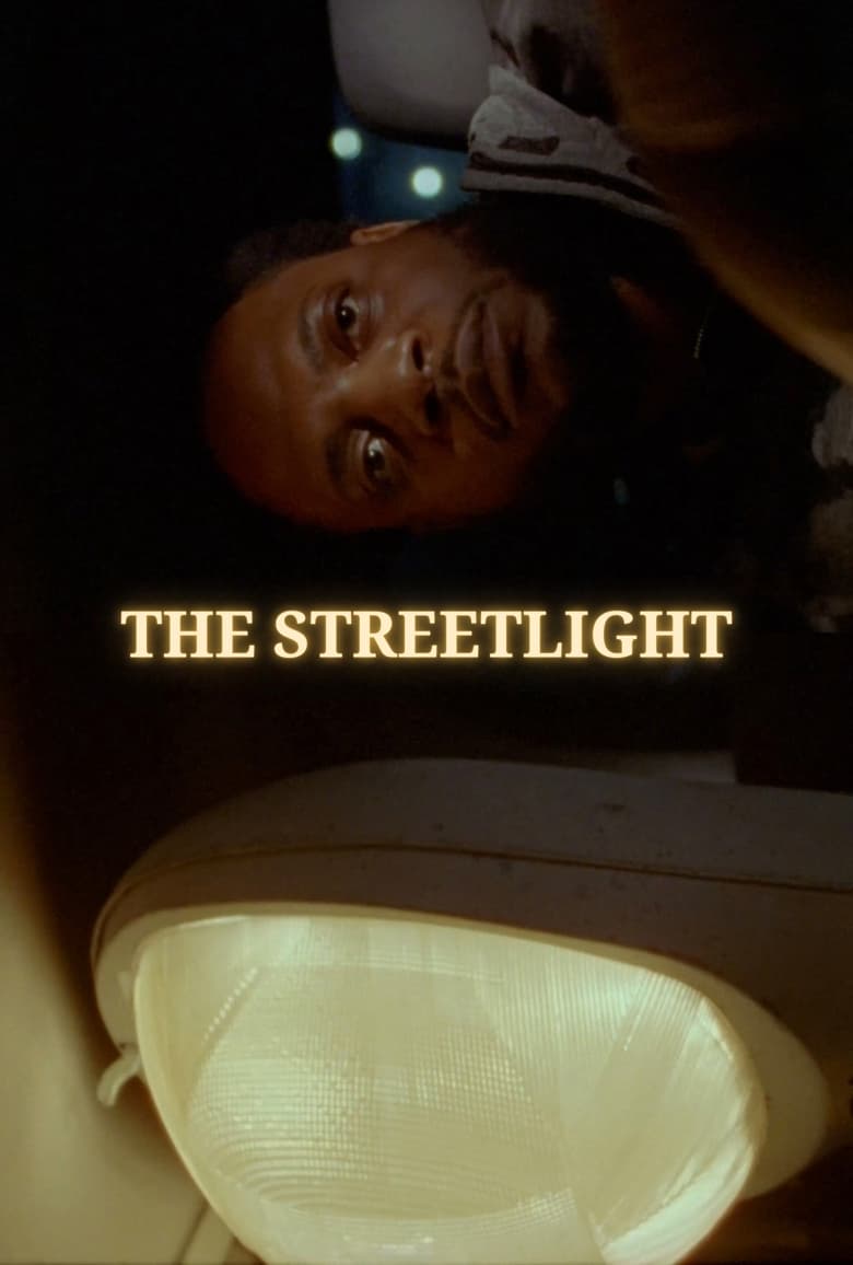 Poster of The Streetlight