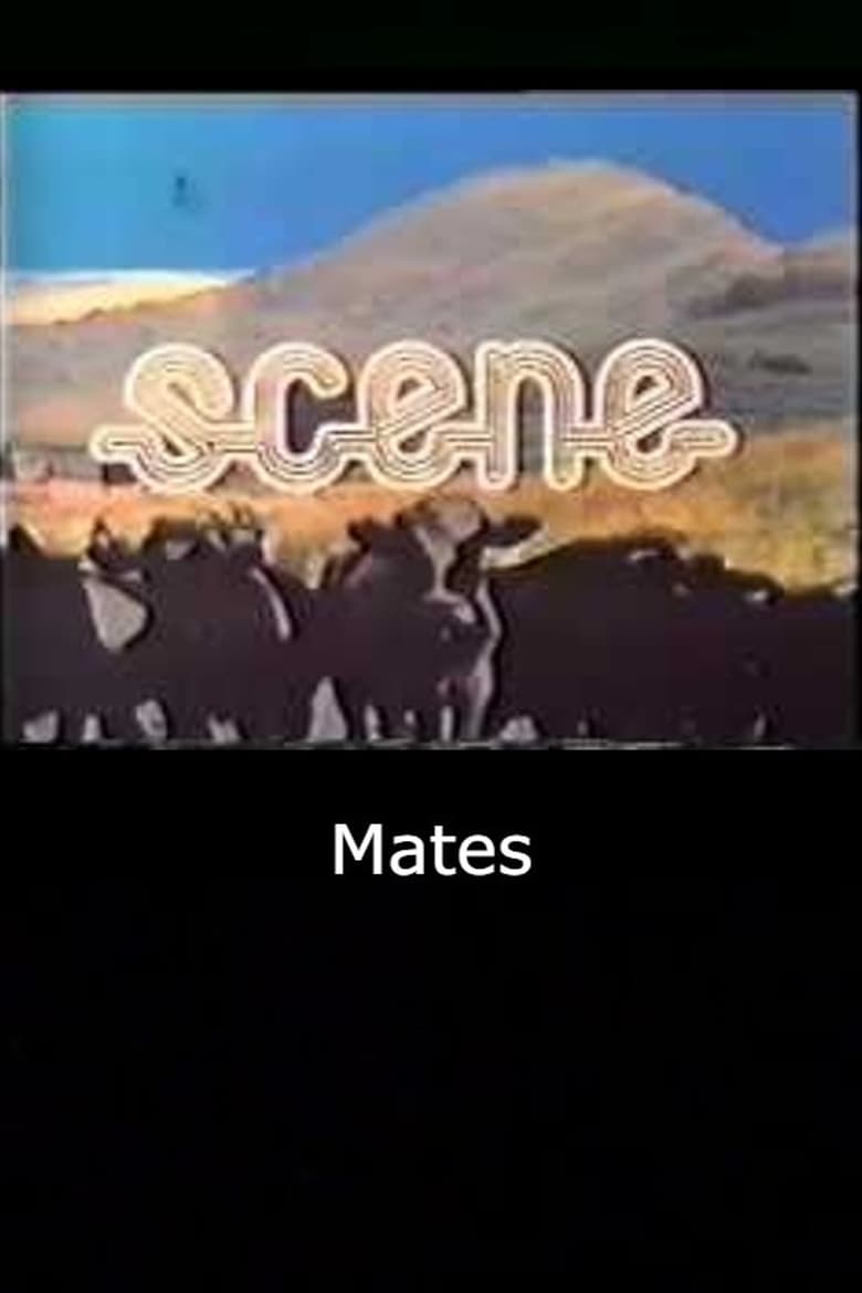 Poster of Mates