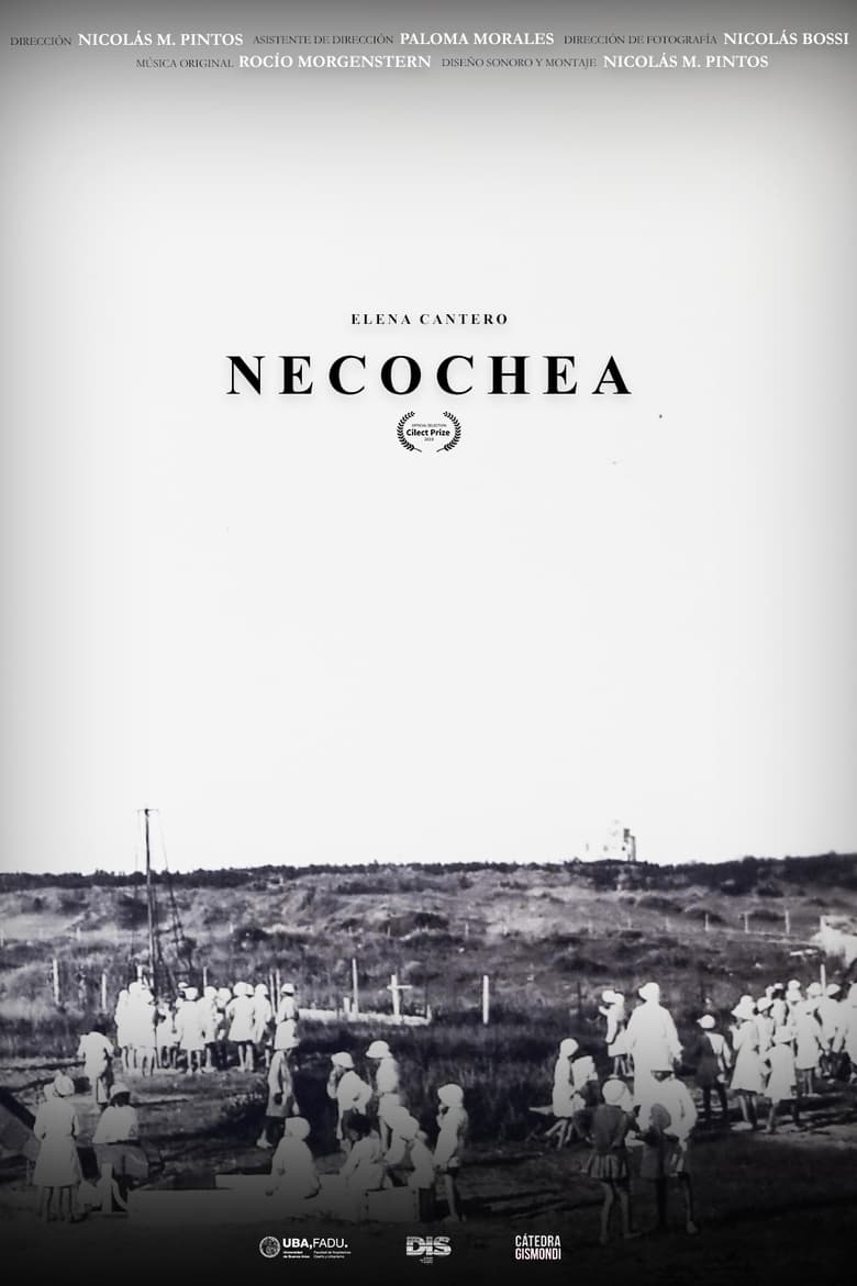 Poster of Necochea