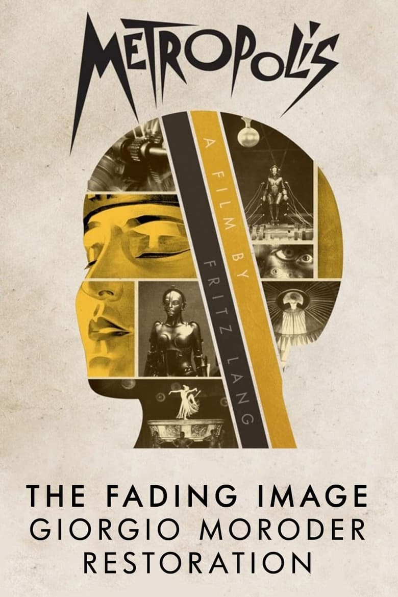 Poster of The Fading Image