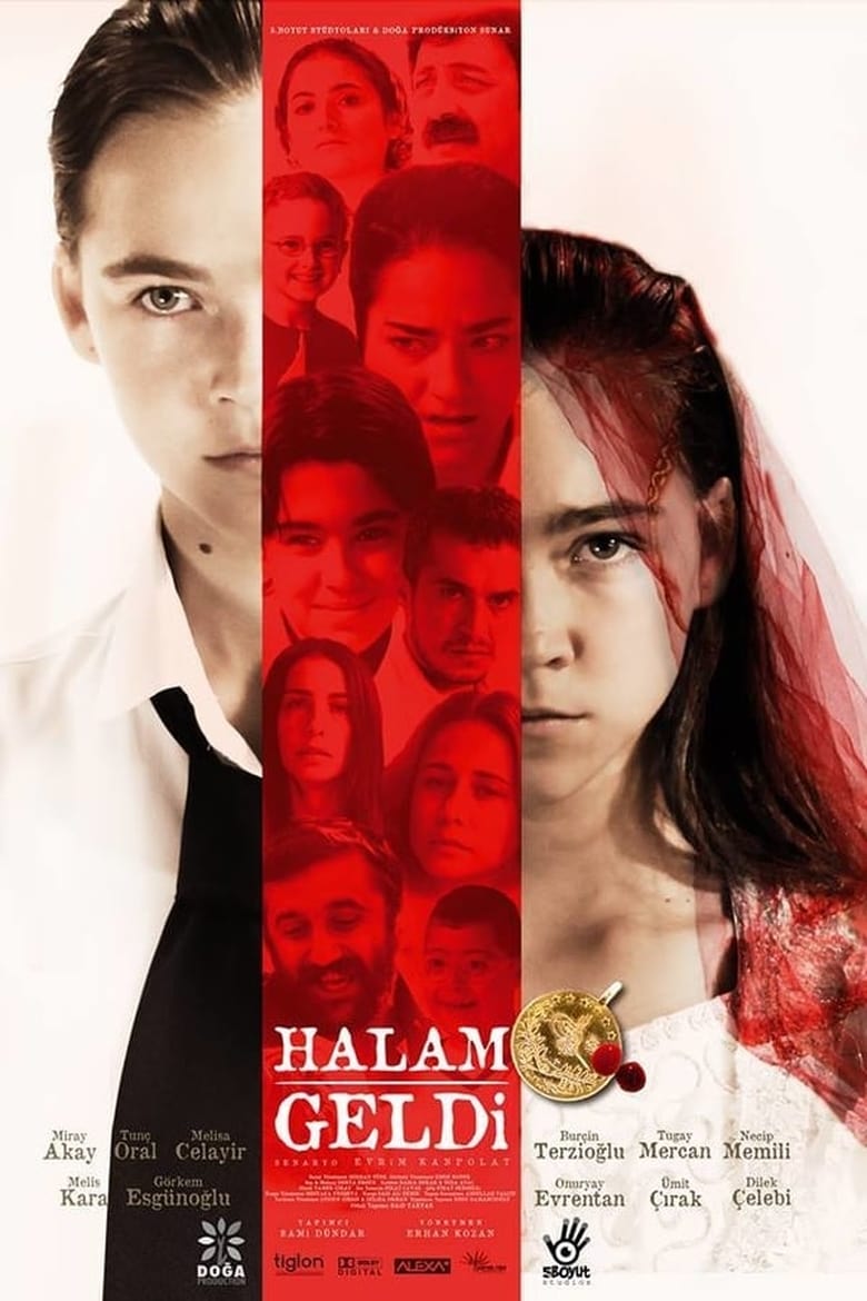 Poster of Halam Geldi