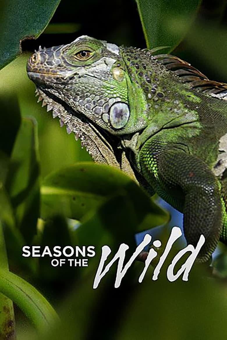 Poster of Seasons of the Wild