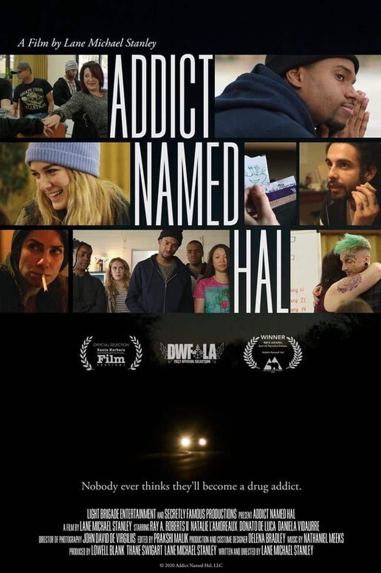 Poster of Addict Named Hal