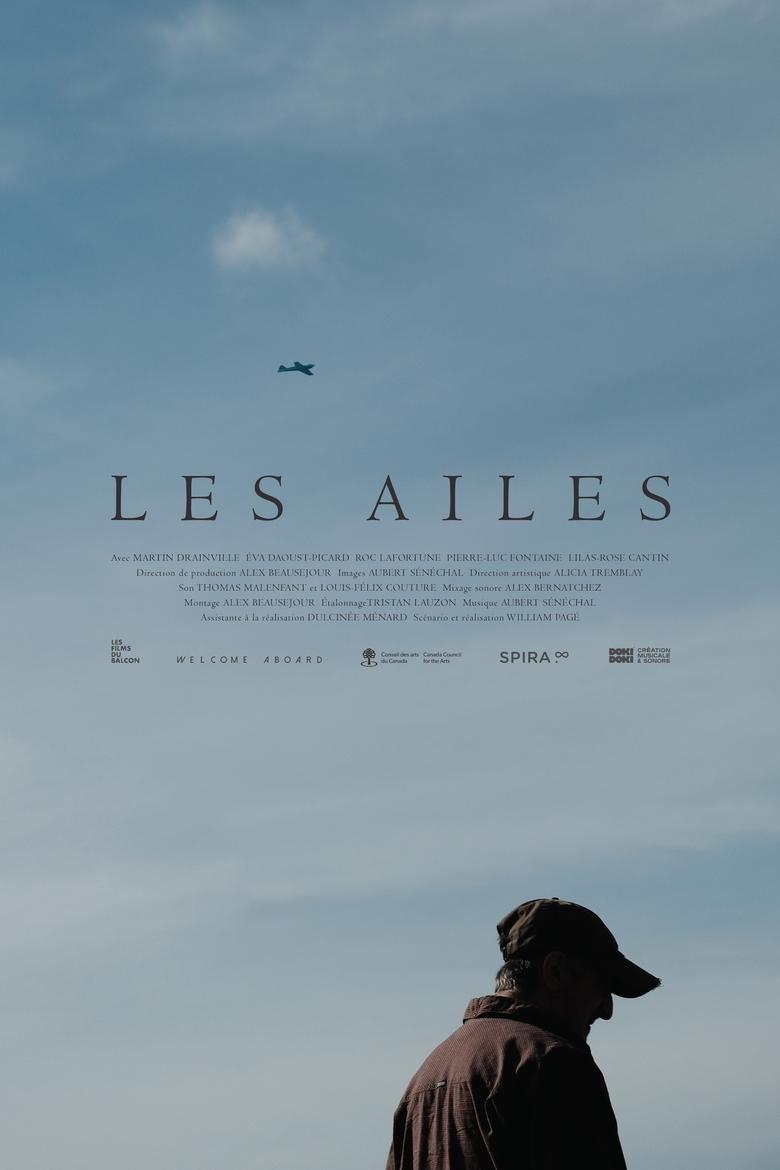 Poster of Les ailes