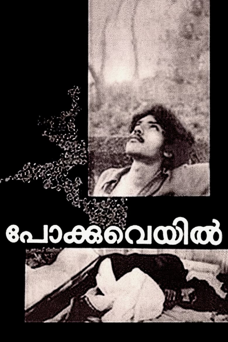 Poster of Pokkuveyil